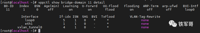 vxlan 头_linux_12