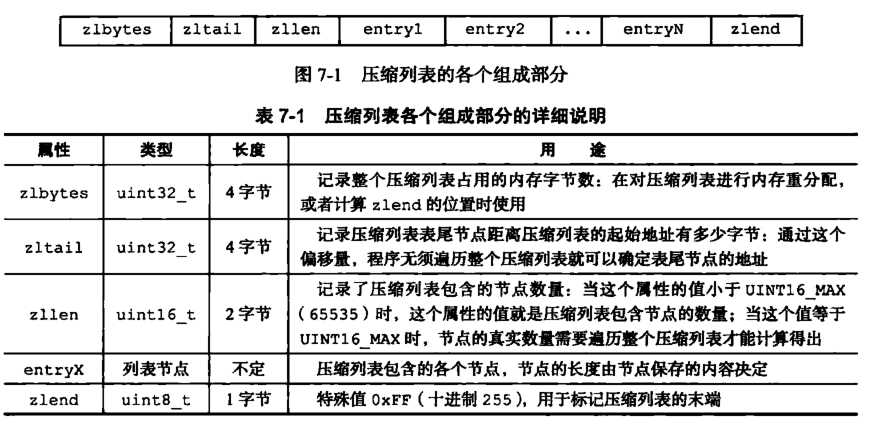 redis分几层_数组_07