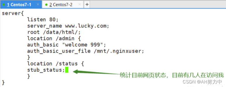 nginx 同域名不同路由_html