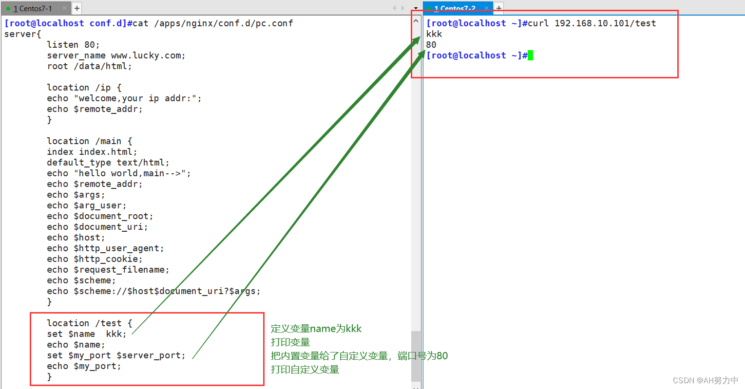 nginx 同域名不同路由_服务器_20