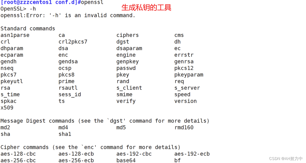 nginx 同域名不同路由_服务器_55