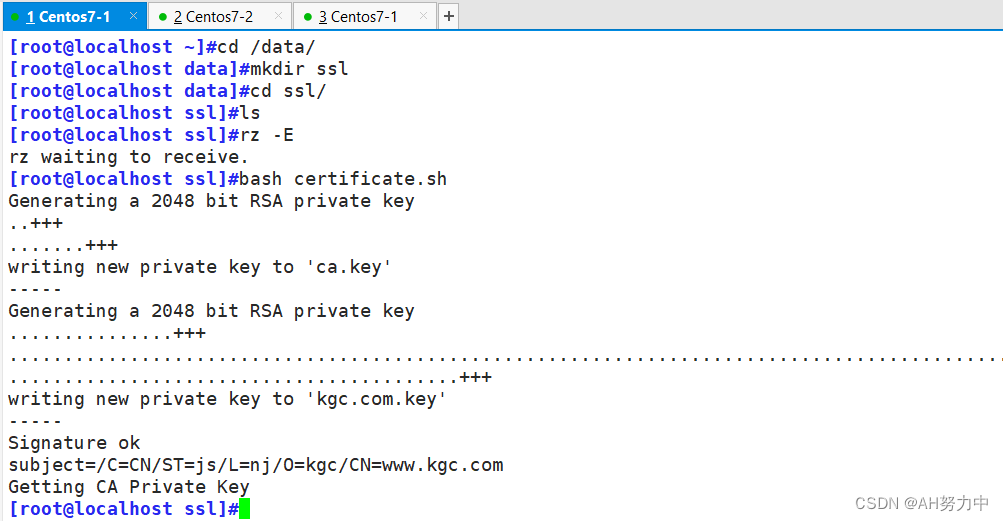 nginx 同域名不同路由_运维_57