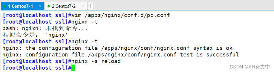 nginx 同域名不同路由_服务器_60