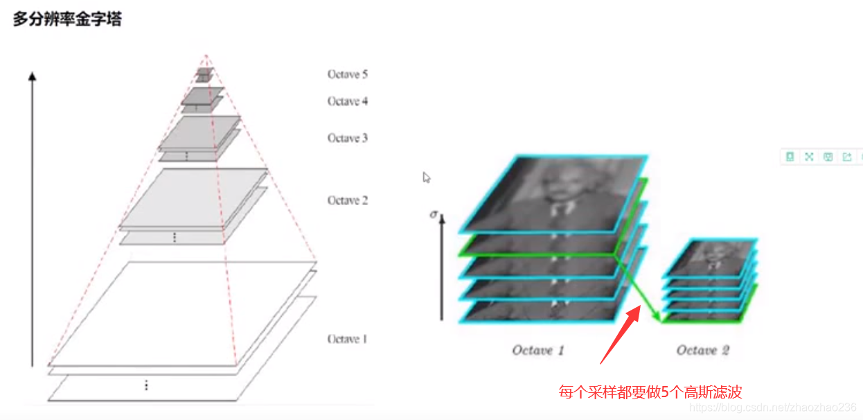 opencv和pytorch实现图像分类一样马_1024程序员节_31