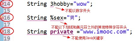 java使用关键词作为字段名_java使用关键词作为字段名_06