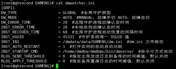 docker 安装的达梦为什么没有可视化页面_数据库_10