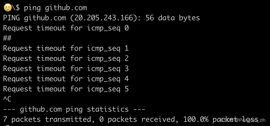 在VS Code中克隆仓库指定版本代码_git_15