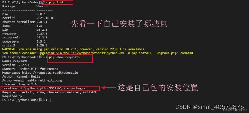 vscode运行pip 设置镜像_vscode运行pip 设置镜像_02