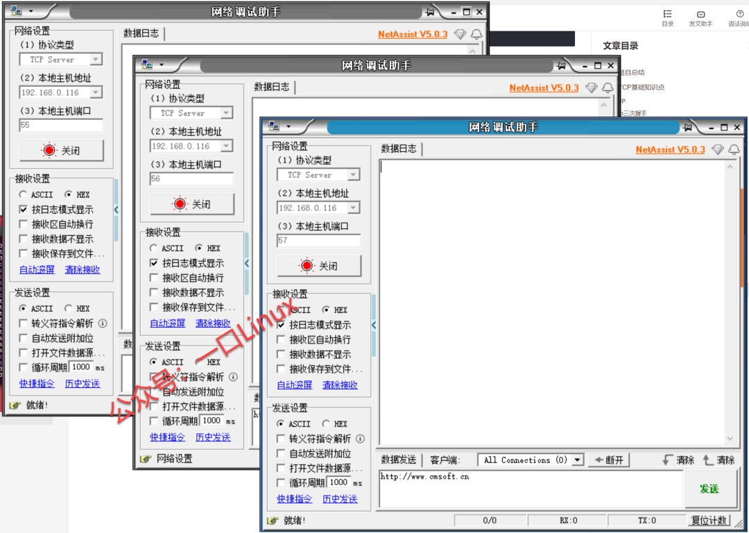 一个端口能绑定多个docker吗_网络协议_03