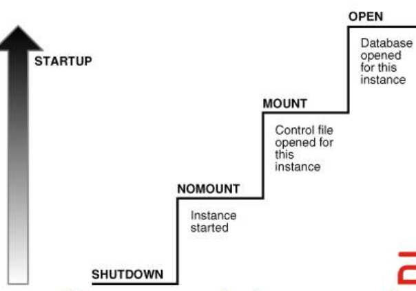 dbeveaver数据库恢复时error executing process_oracle