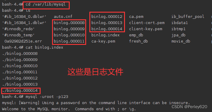 mysql 主从集群如何优雅关机_redis_07