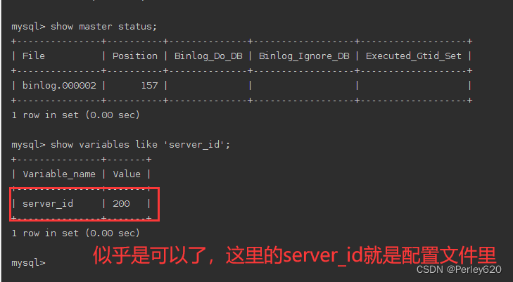 mysql 主从集群如何优雅关机_服务器_10