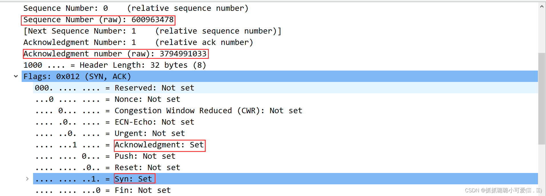 wireshark怎么抓tcp json报文_Wireshark_08