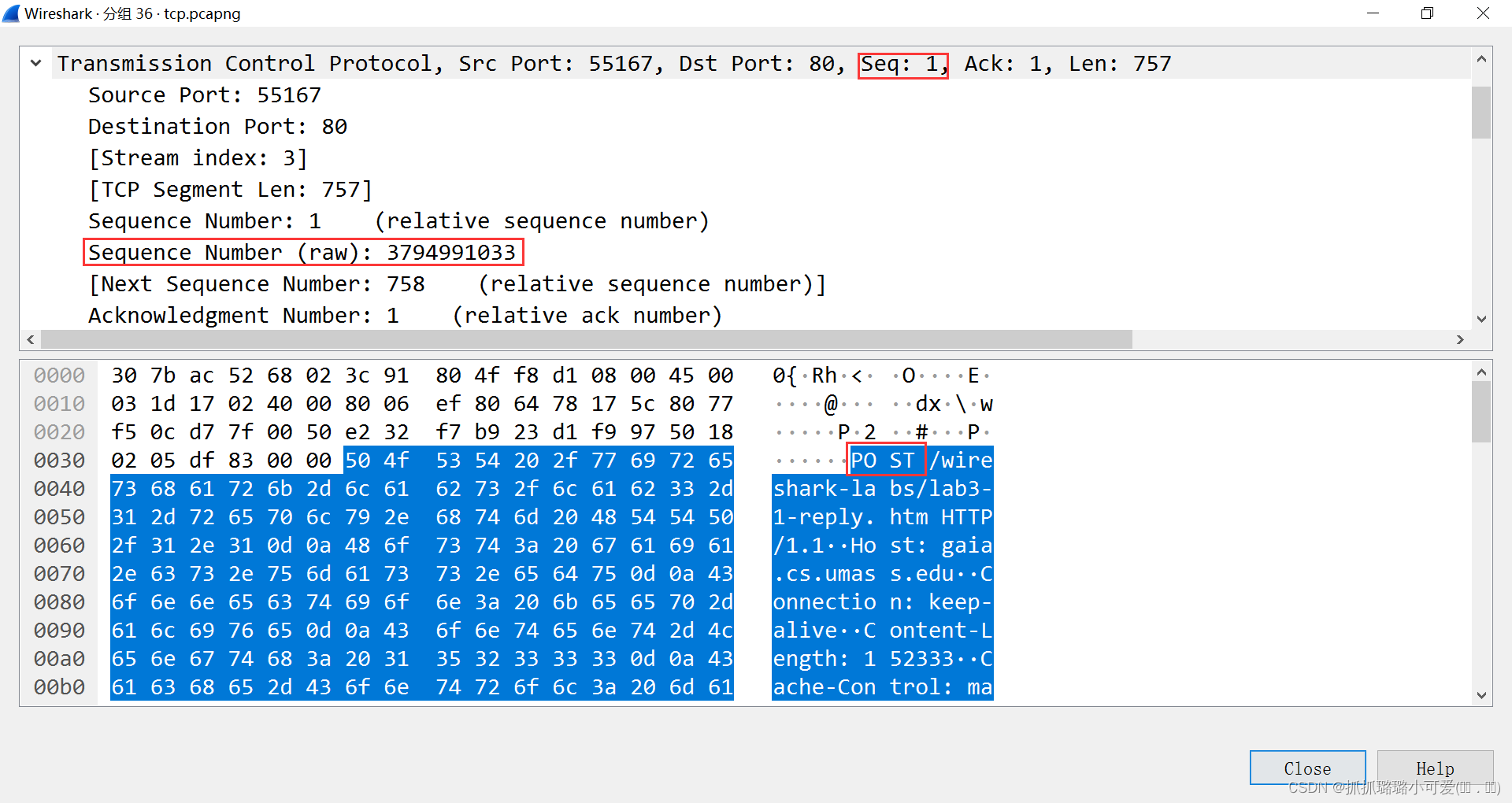 wireshark怎么抓tcp json报文_HTTP_09