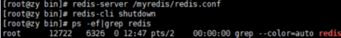 linux 查看redis安装路径命令_Redis_06