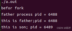 Linux多进程开发-常用命令_父进程_02