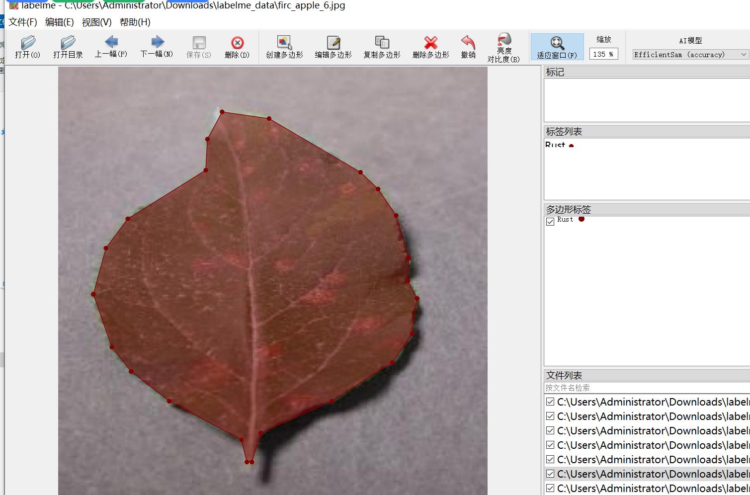 苹果叶子病害分割数据集labelme格式295张3类别_Rust_02