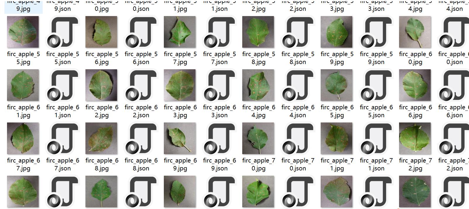 苹果叶子病害分割数据集labelme格式295张3类别_数据集
