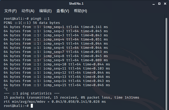 ios 验证支持ipv6_IP