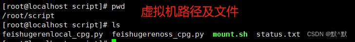 KVM复制文件到主机_linux_06