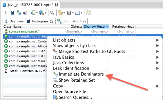 Eclipse Memory Analyzer使用技巧_应用程序_09