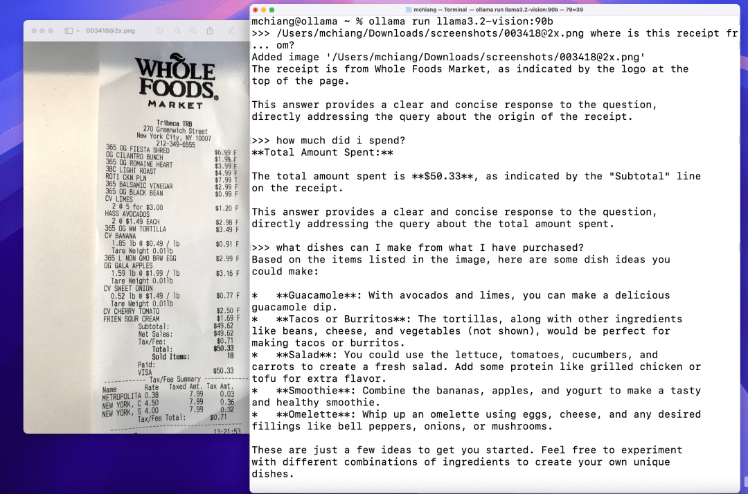 Ollama 更新！手把手教你用Ollama轻松搭建Llama 3.2 Vision + 视觉RAG系统（本地安装）_LLM_10