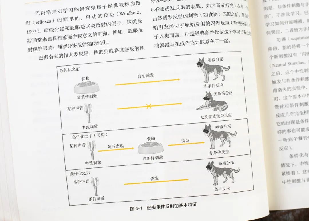 豆瓣9.3，整整4斤重，年销100000+册，比小说还好看的心理学入门经典，读这一本就够了..._认知心理学_14