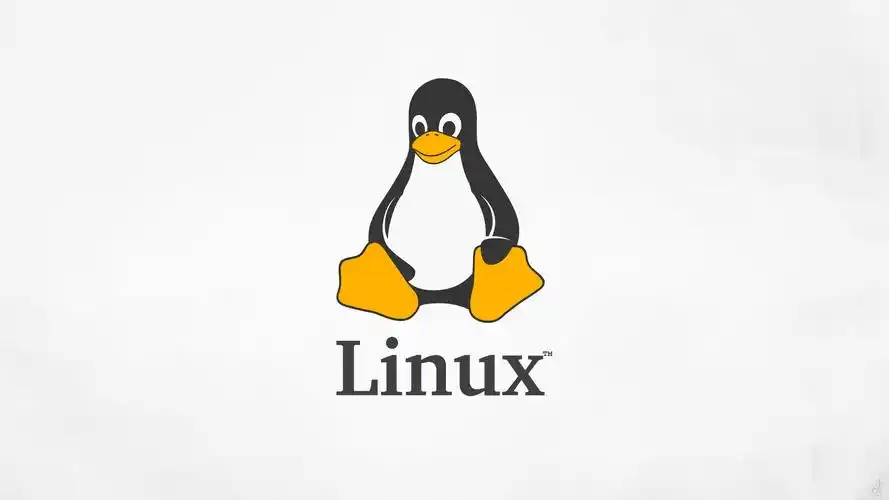 永远有用的技能：Linux的常用命令_文本编辑器_09