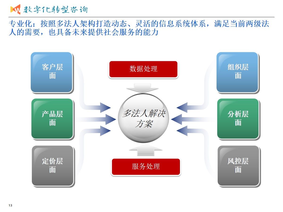 集团业务发展与数字化转型建设统一规划项目案例（365页PPT）_大数据_09