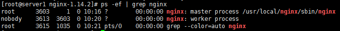 nginx官网下载nginx tar包_二进制文件_16