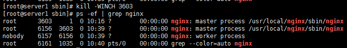 nginx官网下载nginx tar包_二进制文件_38