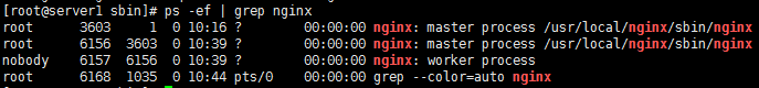 nginx官网下载nginx tar包_二进制文件_42