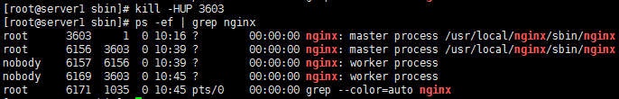 nginx官网下载nginx tar包_二进制文件_43