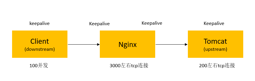 nginx tcp keepalive_nginx tcp keepalive_05