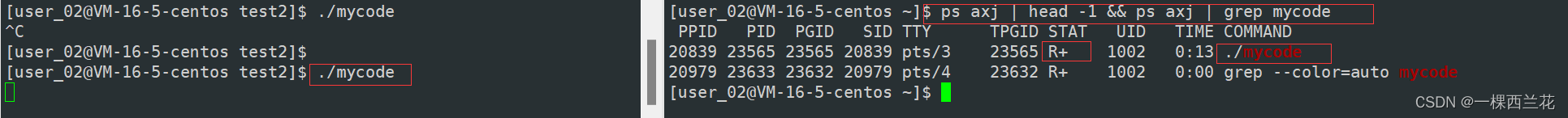 python 判断进程是前台还是后台_运维_03