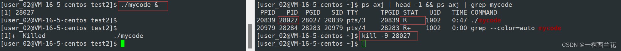 python 判断进程是前台还是后台_linux_04