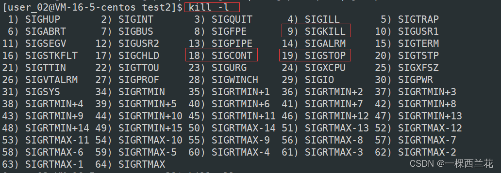 python 判断进程是前台还是后台_运维_07