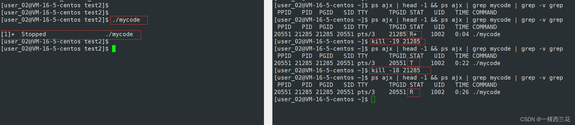 python 判断进程是前台还是后台_linux_08