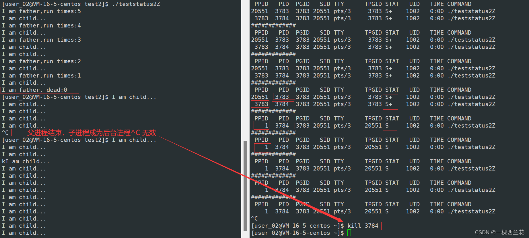 python 判断进程是前台还是后台_运维_10