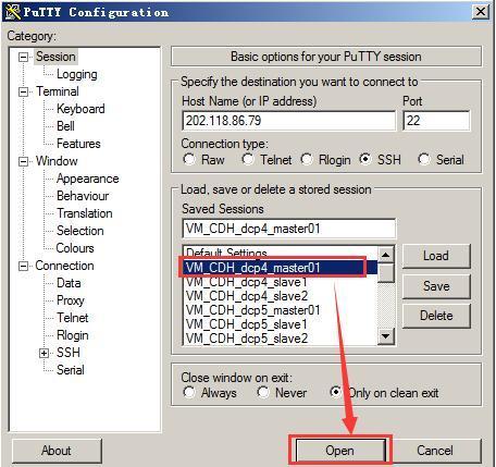 putty命令安装docker镜像_IP_05