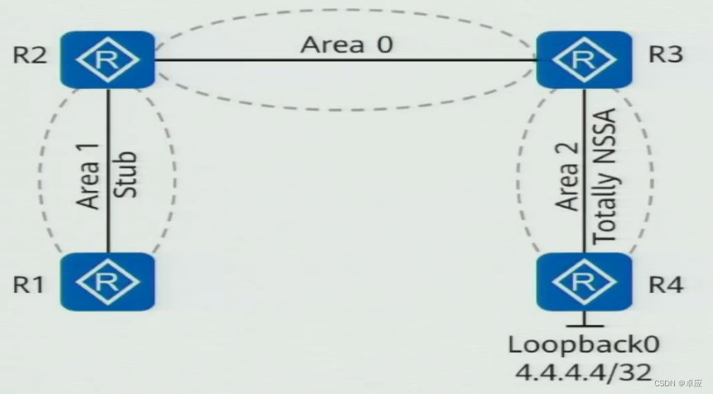 ospf中option字段_php_13