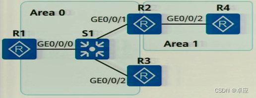 ospf中option字段_IP_14