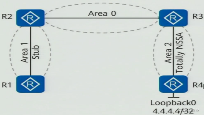 ospf中option字段_开发语言_16