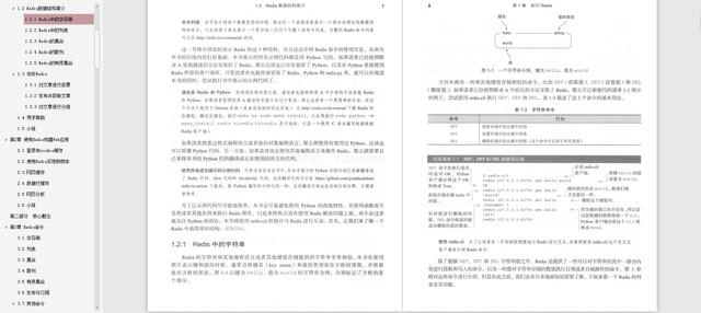 redis实战pdf_java_03