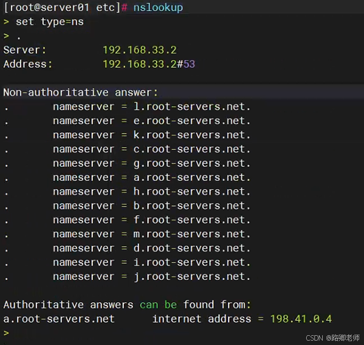 探秘 DNS 服务器：揭开域名解析的神秘面纱_IP_04