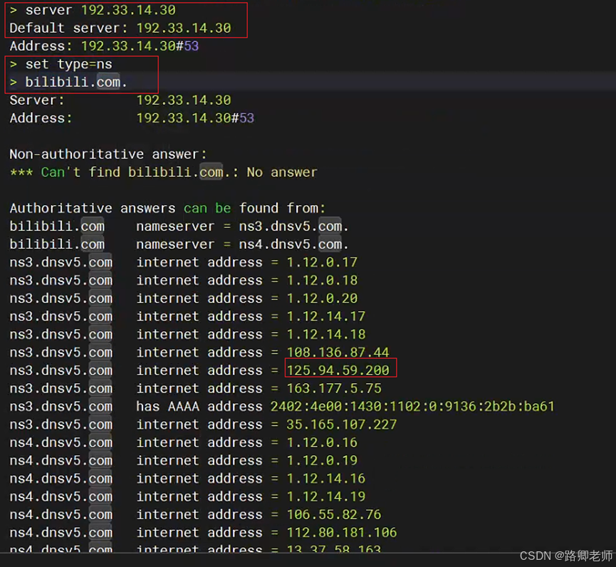 探秘 DNS 服务器：揭开域名解析的神秘面纱_IP_07