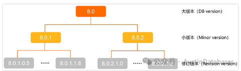 PolarDB 版本差异分析--外人不知道的秘密（谁是绵羊，谁是怪兽）_PostgreSQL