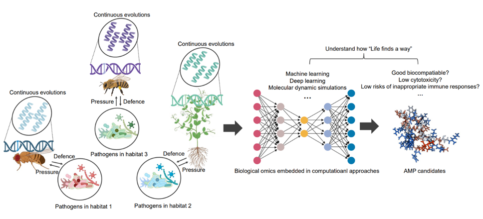 iMetaOmics | 香港中文苏奇组-抗菌多肽开发中的见解: 一个多学科视角的观察_ci_02