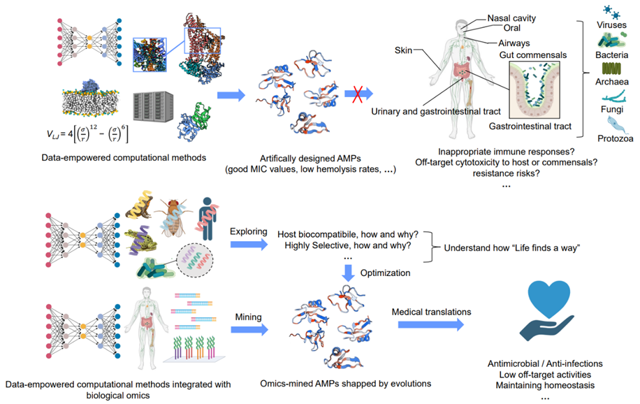 iMetaOmics | 香港中文苏奇组-抗菌多肽开发中的见解: 一个多学科视角的观察_ci_03