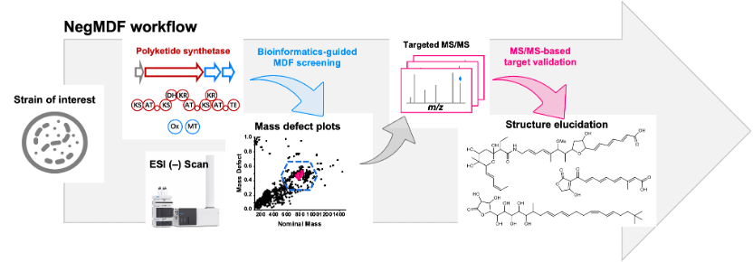 西湖大学张骊駻组Chem. Sci.｜模块型聚酮天然产物挖掘的代谢-基因组学策略_ci_04